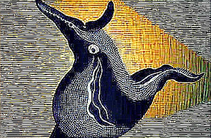 Bức ảnh Dune hé lộ sự thật về synthetic assets: bStocks dẫn đầu nhưng đang ngồi trên bom hẹn giờ